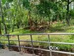 4.60 Cent Plot for Sale - near Ramanatukara