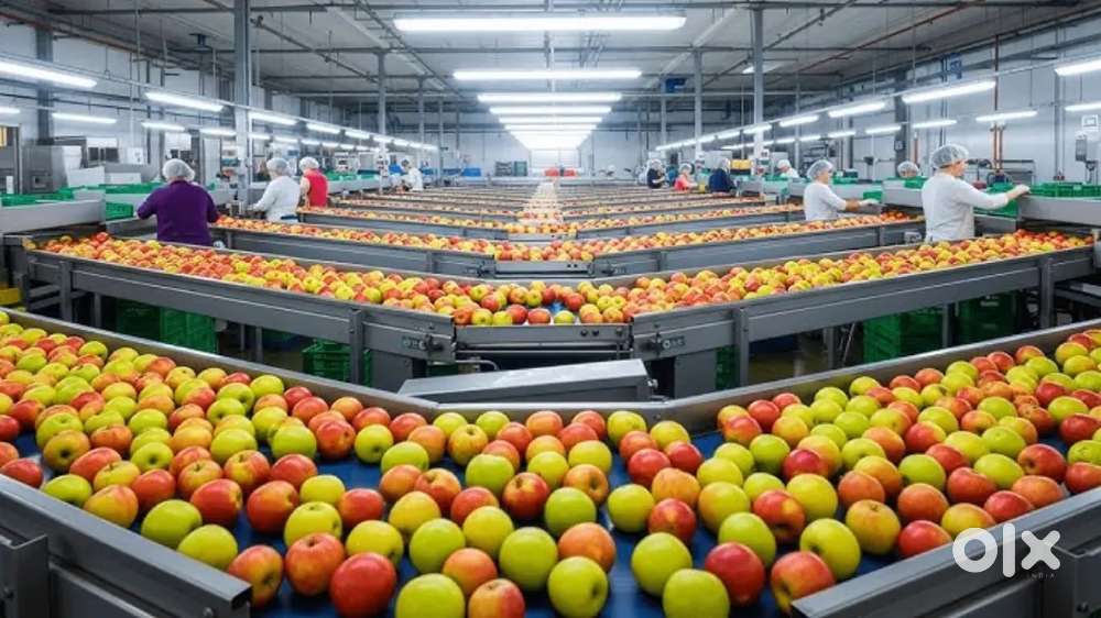 WANTED MALE FEMALE PARTIME FULLTIME PACKING HELPERS INSIDE WAREHOUSE