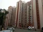 1bhk flat for rent 7000 deposit 20000