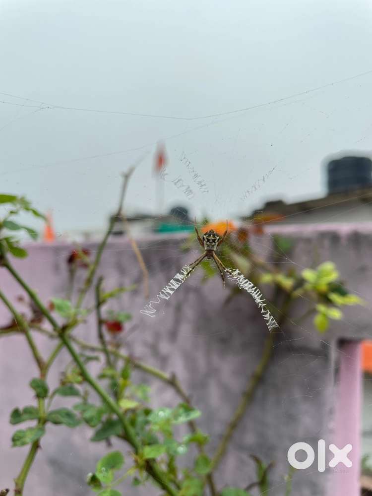 369 ,LIG 3rd Mukharji Nagar