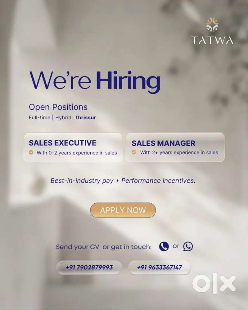 Sales and marketing Executive
