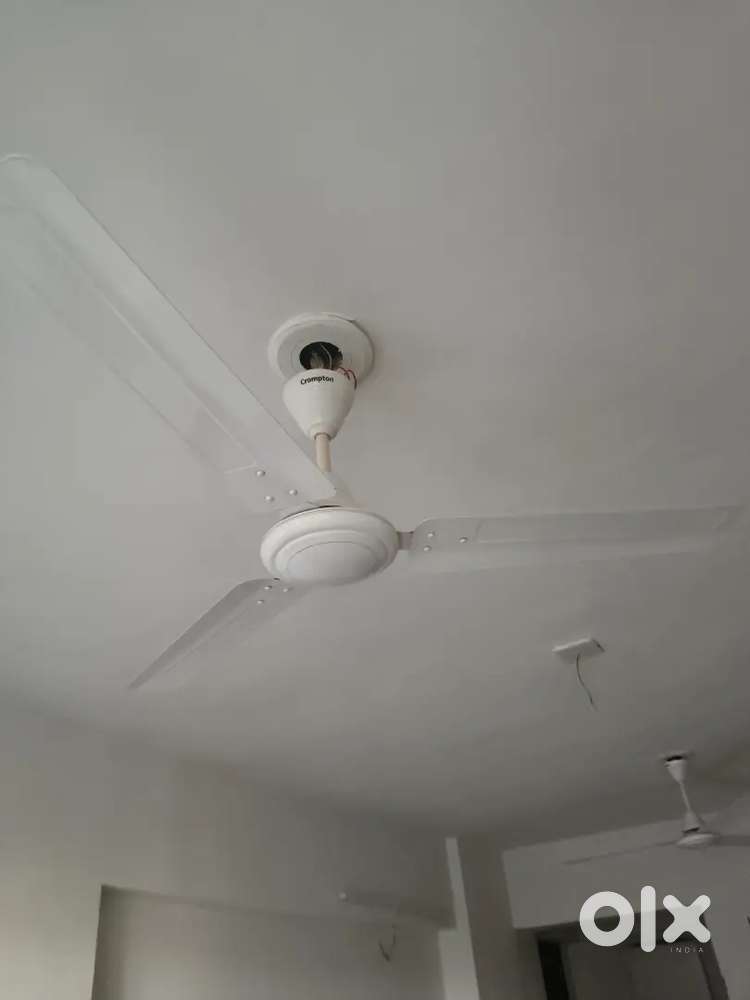 6 Ceiling crompton Fans for Sale - Good Working Condition