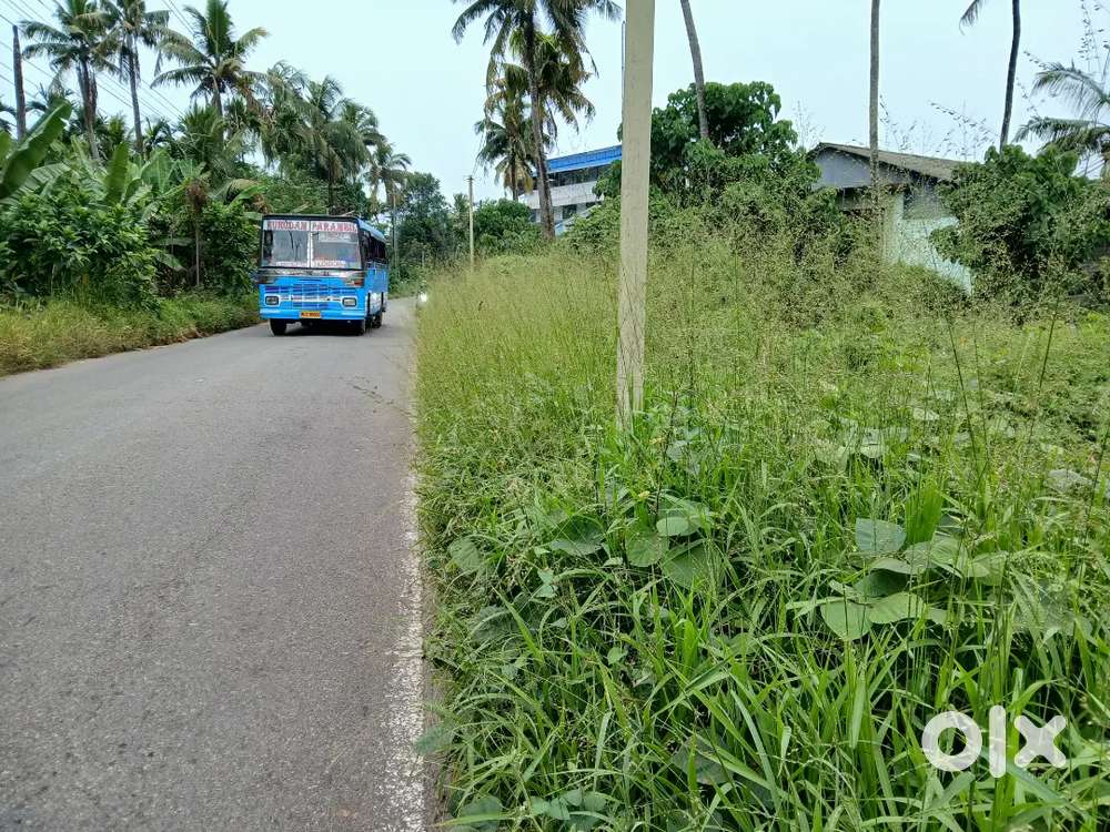 Aluvakadugaloor container road frotage  34 cent sael