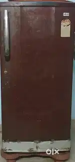 Padmavati fridge