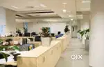 Female staff need for office