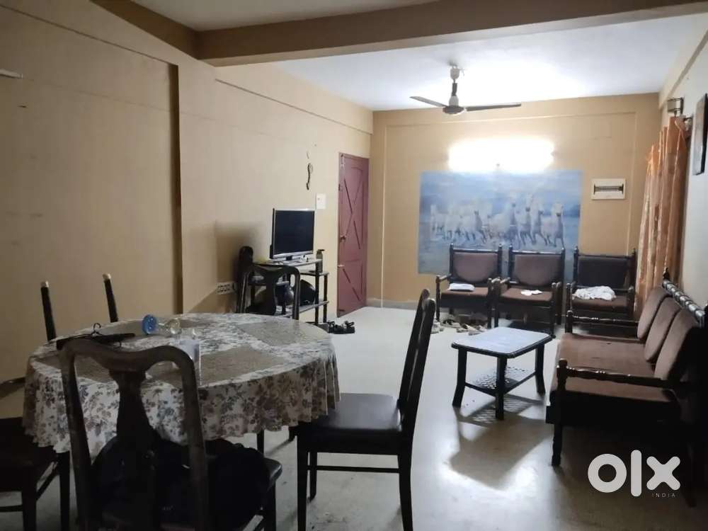 Roommates Needed