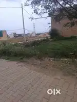 Near mandi complex  20000per gaj