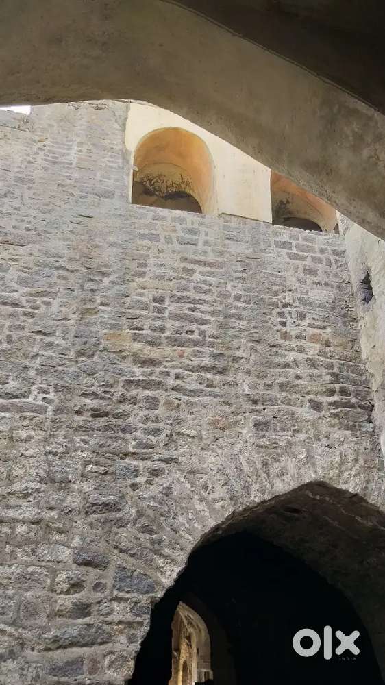 Salesman for Wine Shop