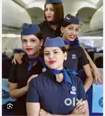 Urgent Hiring Female Condidate IndiGo Airlines