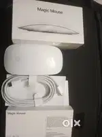 Apple magic mouse