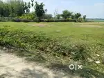 3 kotha miyadi  Residencial land for sale near Tezpur Medical College