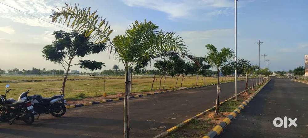 Plots by Meenakshi Medical College back side, (Thalapakatti)