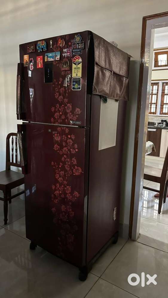 SAMSUNG Double Door 321L fridge