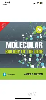 Molecular Biology of gene