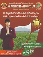 Agriculture Red sandal wood farm lands for sale in ananthapur district