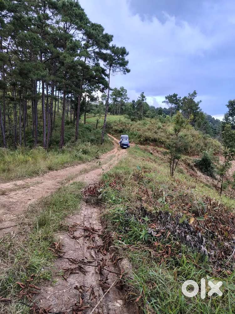 Rung tang 1 min na surok rong nga donkam pisa kyrkieh