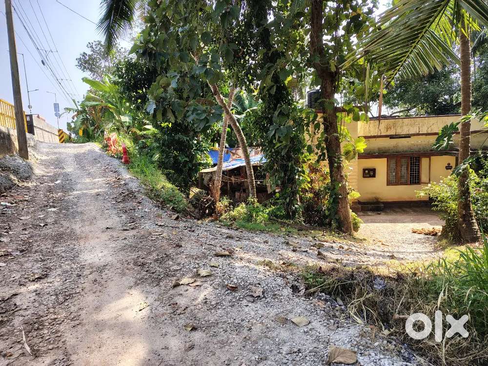 Plot sale malaparamba