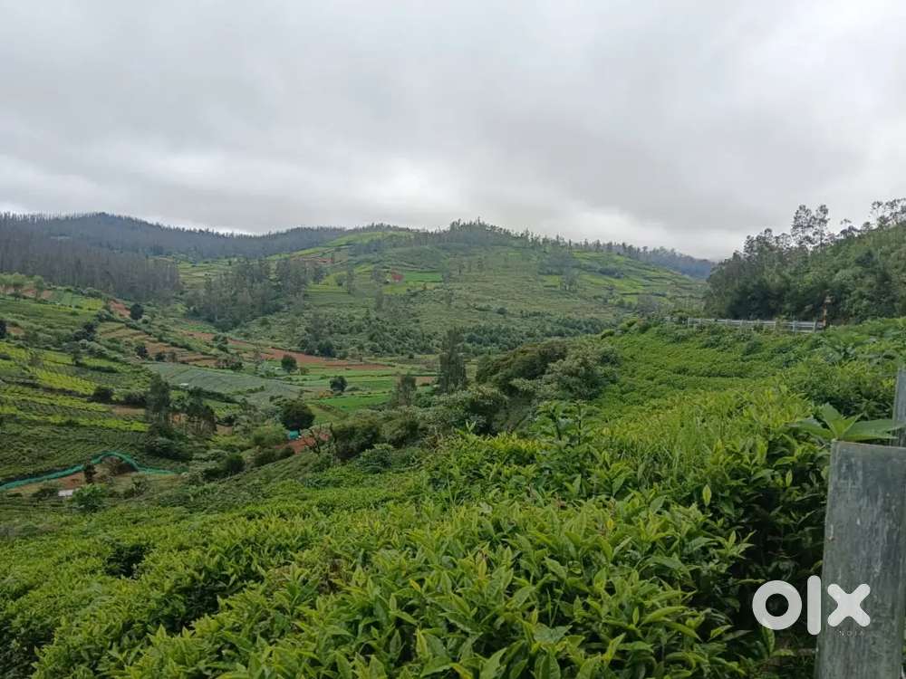 Ooty low budget land