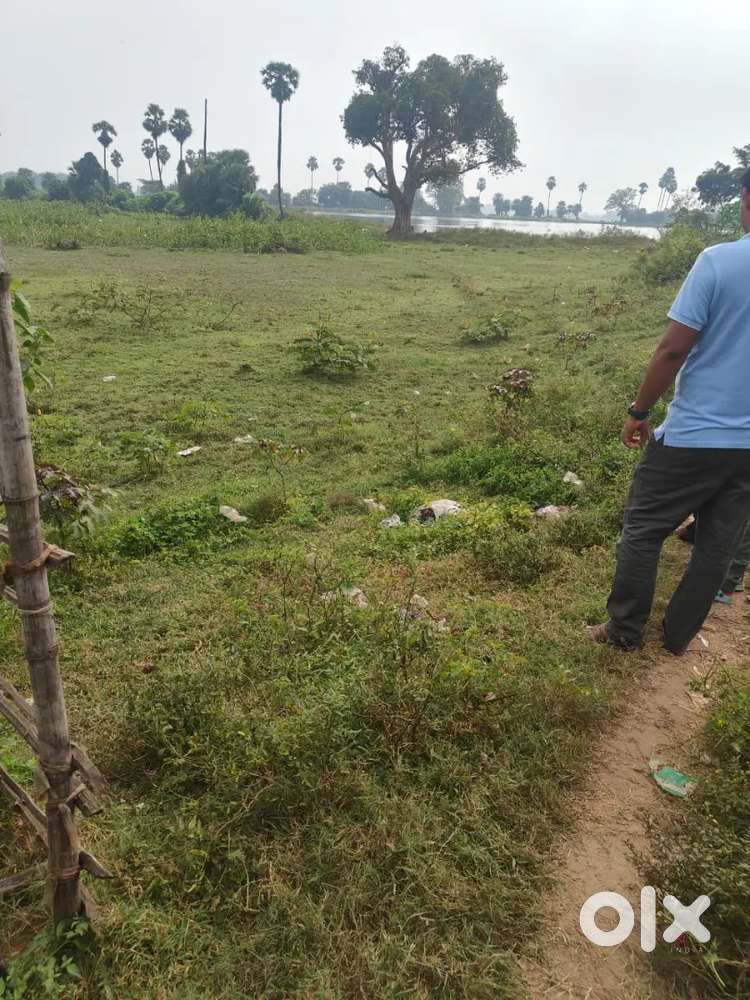 Near bandh pithapura