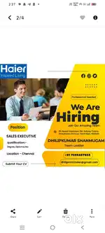 Sales executive