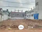 Pathebada,maraka vari veedhi, Eluru.(Near dmart)