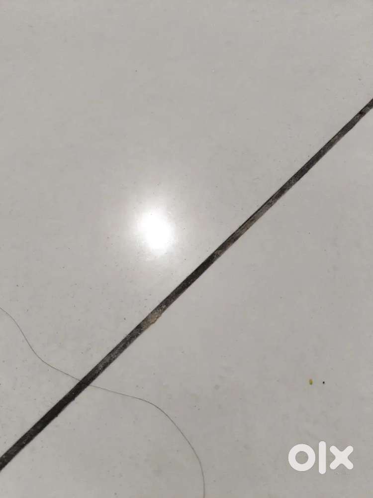 Need house/flat for couple
