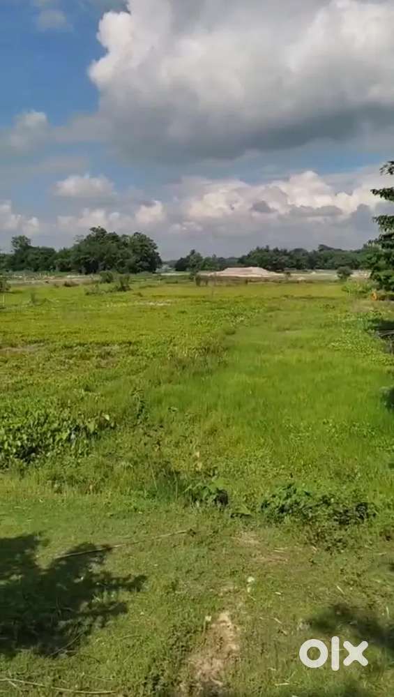Land for Sale ten L per Bigha