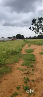 Plots for Sale near Devanahalli Airport  BIAPPA Approved  ₹1250/- Sq