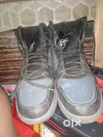 Premium Asian Sneakers