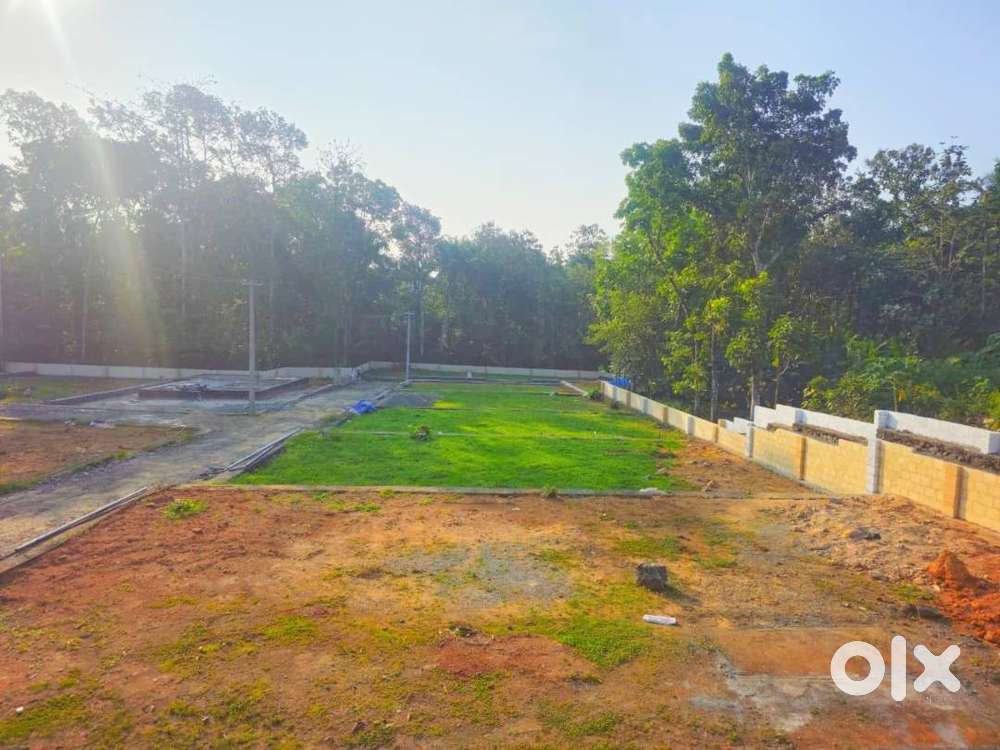 Perumbavoor Cherukunnam near premium villa plots &villas-Free Reg-90%L