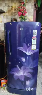 192 litre LG fridge in brand new condition
