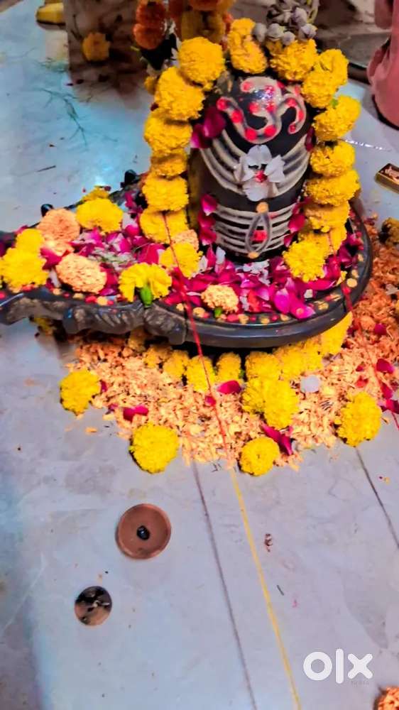 गाड़ी  4 वीलर