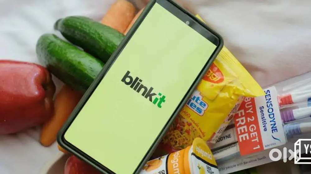 BLINKIT HIRING (FRESHER) DELIVERY PARTNERS