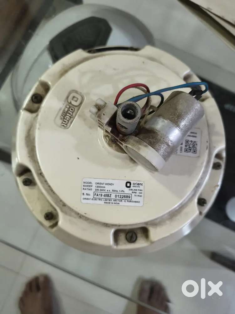 Orient wendy 1200mm ceiling fan for immediate sale