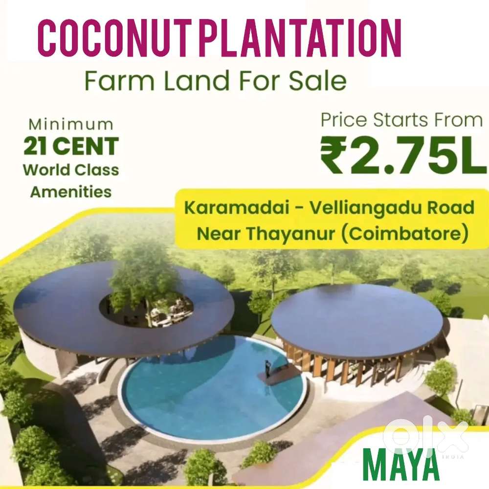 Tropical theme farm sale