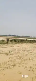 गोरखपुर में जंगल कौड़ियां कालेश्वर हाईवे से लगा