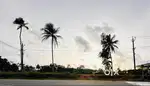 Prime 1.42 Acre Plot with Highway Front – Near Ponkunnam & New Airport