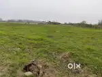 Land for sale not too far from LOTOVI VILLAGE