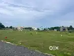 Urgent sale DTCP and RERA approved plots