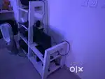 Ladder shelf