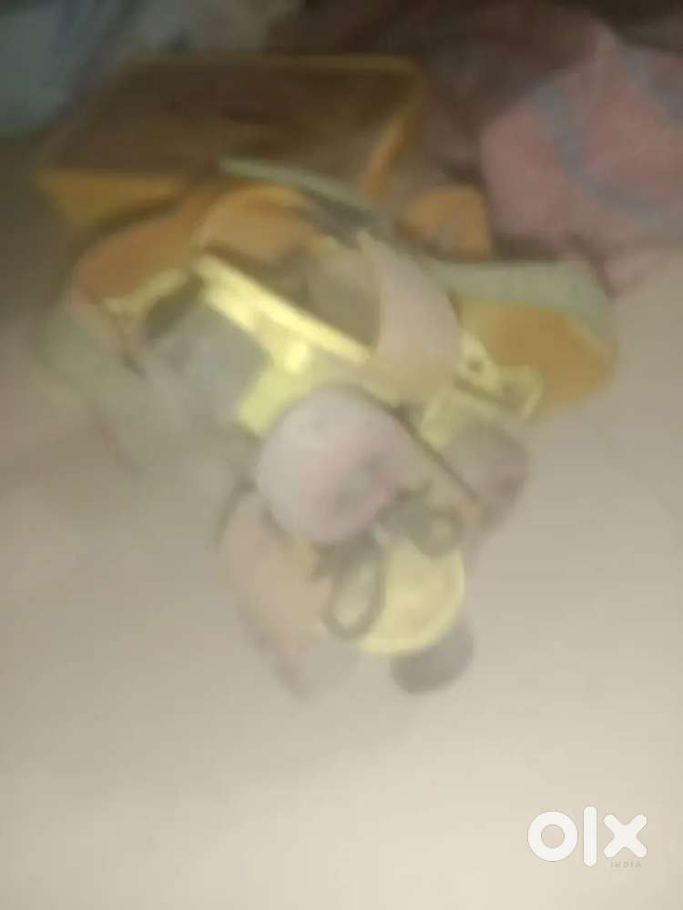 My  skate please give