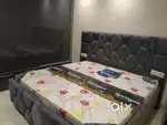 Newly furnished 1bhk at patiala road
