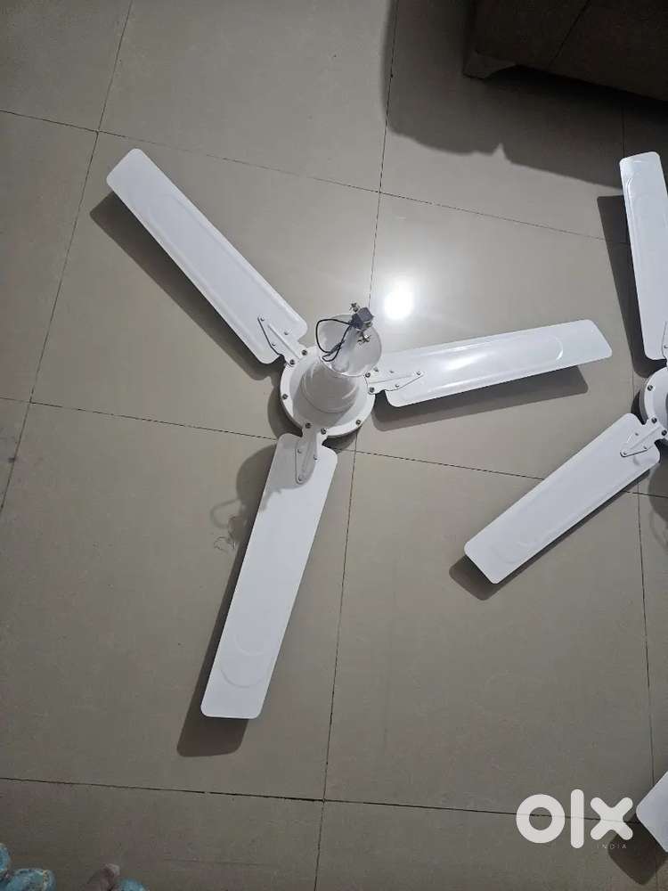 Total 3 Bajaj ceiling fan brand new