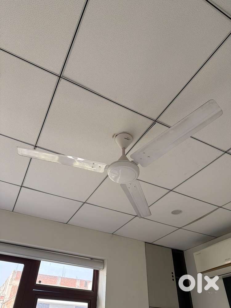 Ceiling Fan