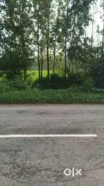 40. लाख  1.5 बीगा जमीन है. अच्छी जगह है