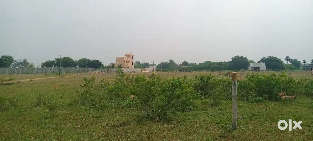 Trichy Mathur thuvakudi ring road { suriyur}