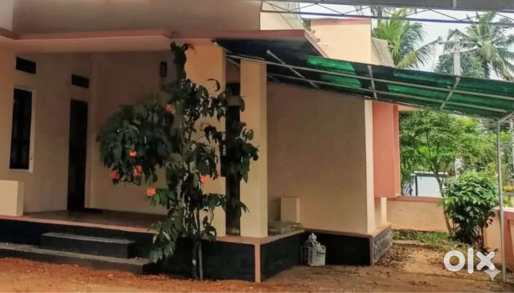 Neat 1 BHK Out House for Rent Near Kurisummood Junction (Prime Loc)