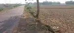 2 Acre 3 gunth pitch road side  plot near NH 16 and NH 55 , Cuttack