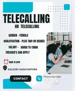 TELECALLING