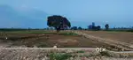 Krishna vihar kheri Markham grant
